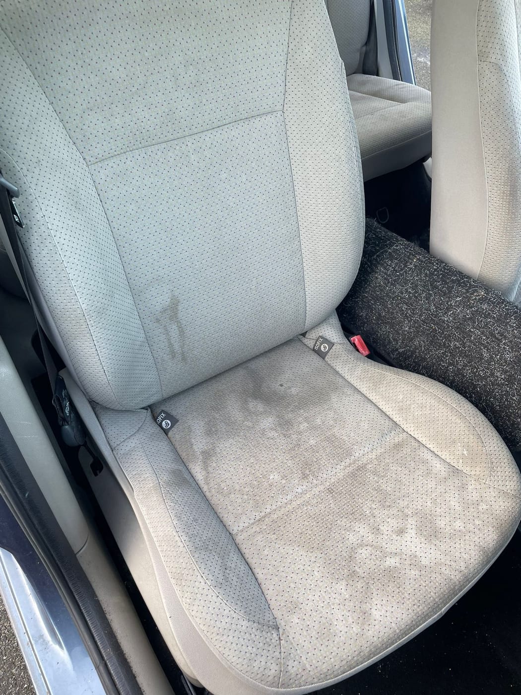 Siège conducteur en tissu beige d'une Renault Clio 3, sale, avant nettoyage